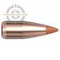 Preview: Hornady NTX 22000 Geschoss